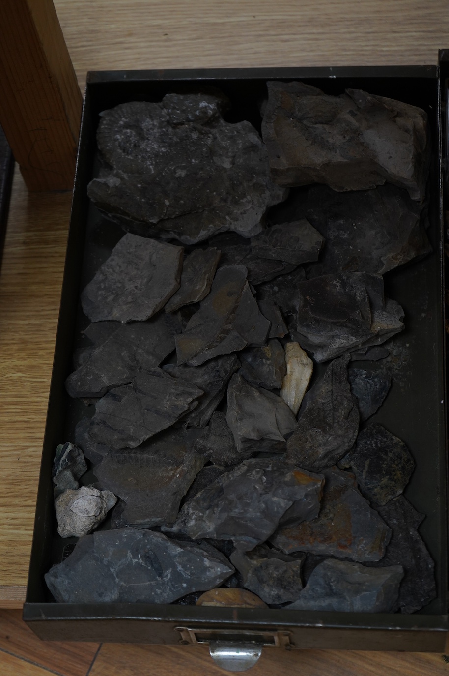 Five trays of fossils and minerals including a glacial river bed sample, lava flow, fossil tree imprint, reduction spots in slate, galina ore sample, a fossil sponge?, ammonites, vertebrae, onchinod ferns, seeds, shell i